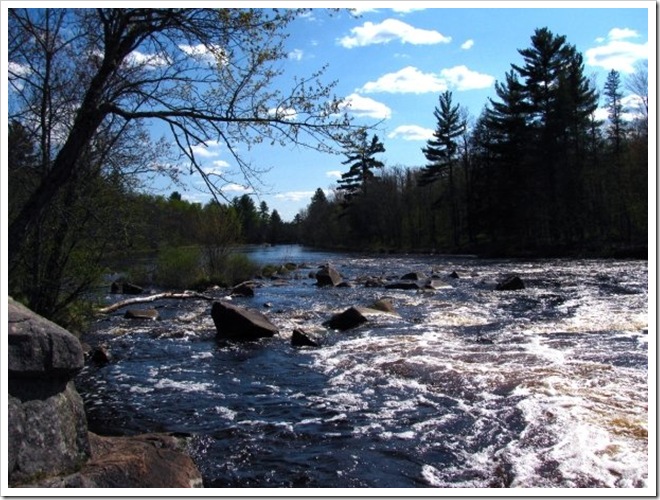 Dave's River